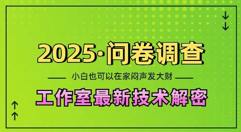 2025问卷调查最新工作室技术解密:一个人在家也可以闷声发大财,小白一天2张,可矩阵放大【揭秘】-俗人圈网创