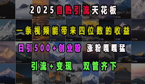 2025自热引流天花板,一条视频能带来四位数的收益,引流+变现双管齐下,日引500+创业粉,涨粉嘎嘎猛-俗人圈网创