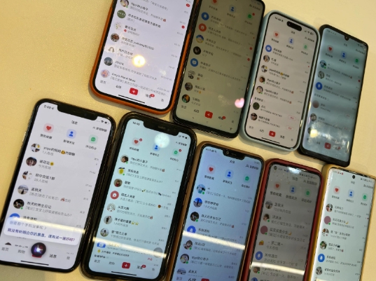 首发揭秘小红书私域日引500+创业粉四大模板,月入过W+全程干货!没有废话!保姆教程!-俗人圈网创