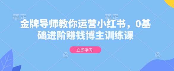 金牌导师教你运营小红书,0基础进阶赚钱博主训练课-俗人圈网创