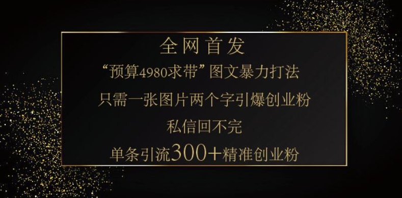 小红书神奇图片引流法,只需一张图,就能单条笔记凭借此方法,轻松引流 300 + 精准创业粉-俗人圈网创