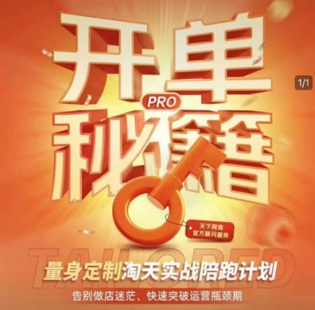 淘宝开单秘籍PRO，量身定制淘天实战陪跑计划，告别做店迷茫、快速突破运营瓶颈期-俗人圈网创