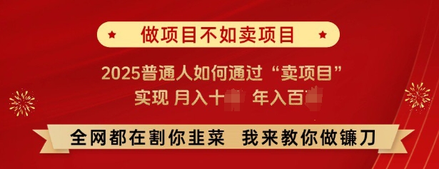 必看，做项目不如卖项目，2025普通人如何通过“卖项目”实现月入十个，年入百个-俗人圈网创