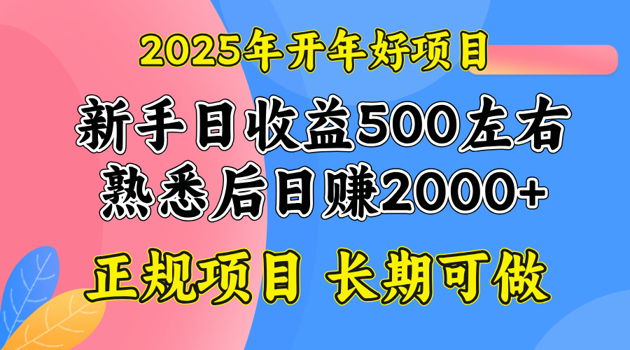 2025开年好项目，单号日收益2000左右-俗人圈网创