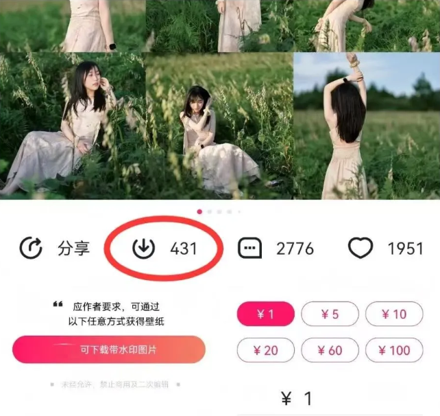 最新图虫搬运项目,收益无上限,利用AI小白也可日赚500+-俗人圈网创