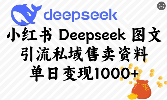 小红书Deepseek图文引流私域售卖资料,单日变现多张-俗人圈网创