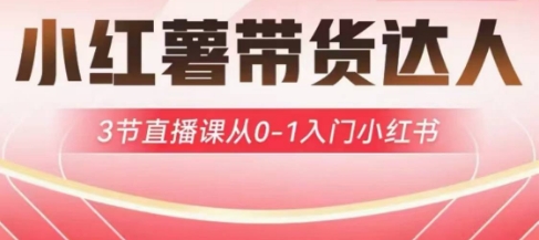 小红薯达人带货启航计划，3节直播课从0-1入门小红书-俗人圈网创