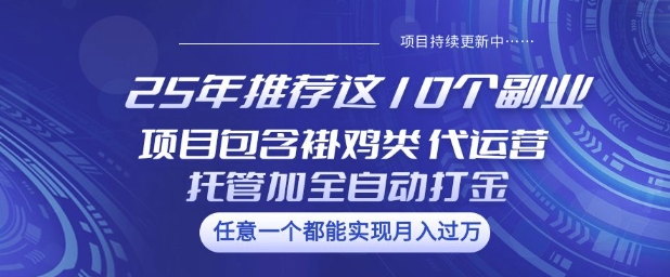 25年推荐这10个副业项目包含褂鸡类、代运营托管类、全自动打金类【揭秘】-俗人圈网创