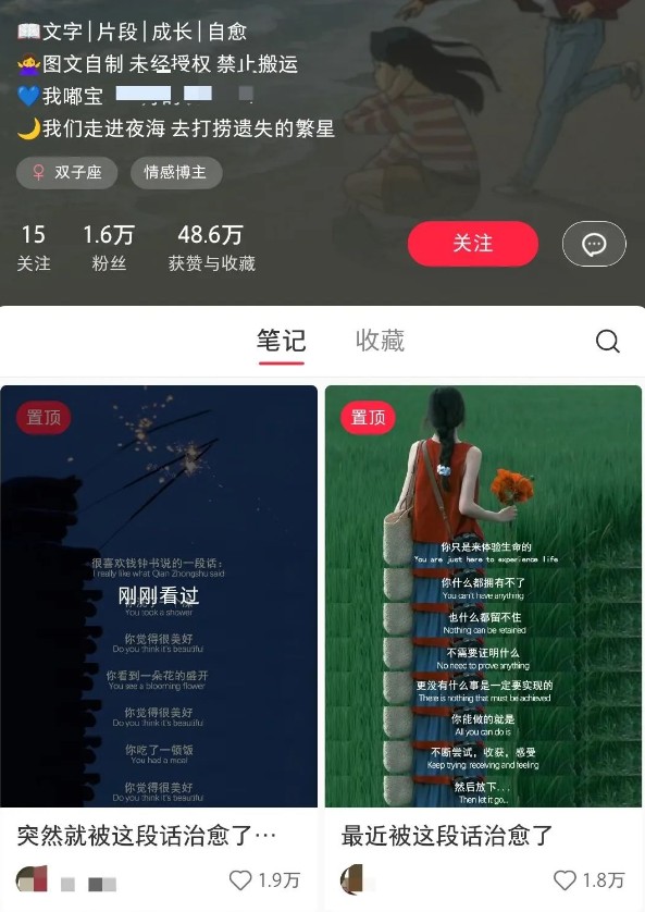 小红书治愈文案图文笔记,零门槛,一分钟制作轻松制作爆款作品月入万元-俗人圈网创