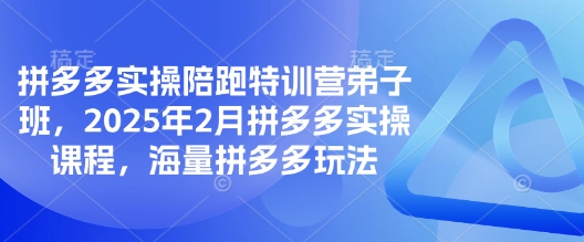 拼多多实操陪跑特训营弟子班,2025年2月拼多多实操课程,海量拼多多玩法-俗人圈网创
