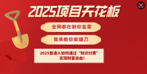 2025项目天花板普通人如何通过知识付费,实现财F自由【揭秘】-俗人圈网创