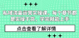 私域流量运营实操课，每个章节都是实操干货，学完就能上手-俗人圈网创