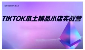 TikTok本土精品小店出海实战营,从入门到高阶,不止0-1!-俗人圈网创