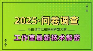 2025问卷调查最新工作室技术解密:一个人在家也可以闷声发大财,小白一天2张,可矩阵放大【揭秘】-俗人圈网创