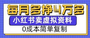 小红书虚拟资料项目,0成本简单复制,每个月多挣1W【揭秘】-俗人圈网创