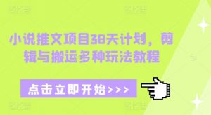 小说推文项目38天计划，剪辑与搬运多种玩法教程-俗人圈网创