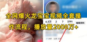 全网爆火龙宝宝视频全套操作流程，播放量2000万+-俗人圈网创