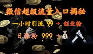 微信超级流量入口揭秘:一小时引流 99 + 创业粉,日涨粉 999 +-俗人圈网创