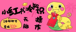 小红书冷知识账号，无脑复制粘贴，5分钟即可变现3张-俗人圈网创