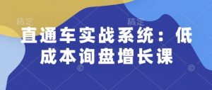 直通车实战系统：低成本询盘增长课，让个人通过技能实现升职加薪，让企业低成本获客，订单源源不断-俗人圈网创