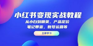 小红书变现实战教程:从小白到精英,产品定价,笔记带货,账号运营等-俗人圈网创