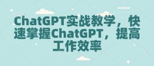 ChatGPT实战教学，快速掌握ChatGPT，提高工作效率-俗人圈网创