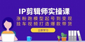 IP剪辑师实操课:涨粉跑模型起号到变现,挂车视频打造爆款带货-俗人圈网创