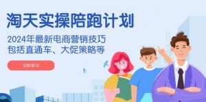 淘天实操陪跑计划，2024年最新电商营销技巧，包括直通车、大促策略等-俗人圈网创