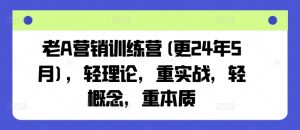 老A营销训练营(更25年1月),轻理论,重实战,轻概念,重本质-俗人圈网创
