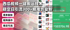 西瓜视频一键搬运技术,稳定日引流300+精准创业粉,简单可复制给团队,...-俗人圈网创