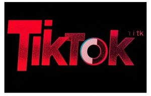 TikTok ads投流秘籍，涵盖tiktok整体投放思路，教你搭建测试计划-俗人圈网创