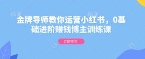 金牌导师教你运营小红书，0基础进阶赚钱博主训练课-俗人圈网创