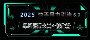2025年快手6.0保姆级教程震撼来袭，单日狂吸300+精准创业粉-俗人圈网创
