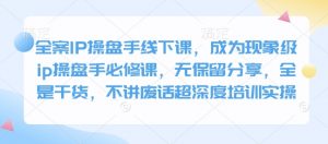 全案IP操盘手线下课，成为现象级ip操盘手必修课，无保留分享，全是干货，不讲废话超深度培训实操-俗人圈网创