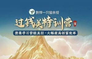 剽悍一只猫-过钱关特训营,学习营销真经 大幅度提高创富效率-俗人圈网创