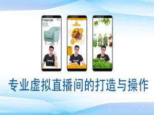 个人虚拟直播间的搭建与操作,专业虚拟直播间的打造与操作-俗人圈网创
