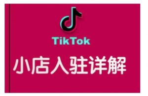 TikTok跨境小店运营全攻略,帮助你独立运营TK跨境小店的能力,实现销量增长-俗人圈网创