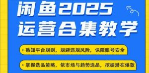 2025闲鱼电商运营全集,2025最新咸鱼玩法-俗人圈网创