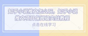 知乎小说推文怎么玩，知乎小说推文项目保姆级实战教程-俗人圈网创