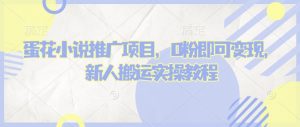 蛋花小说推文项目，0粉即可变现，新人搬运实操教程-俗人圈网创