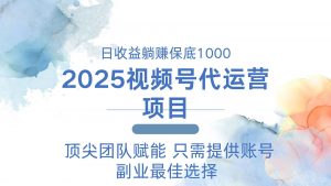 2025视频号代运营 日躺赚1000+ 只需提供账号-俗人圈网创