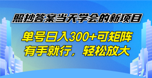照抄答案当天学会的新项目,单号日入300 +可矩阵,有手就行,轻松放大-俗人圈网创