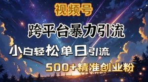 跨平台暴力引流,私域完美闭环,日引500+精准创业粉-俗人圈网创