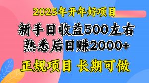 2025开年好项目，单号日收益2000左右-俗人圈网创