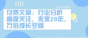 付费文章:行业分析 高度关注,未来20年,万倍成长空间-俗人圈网创