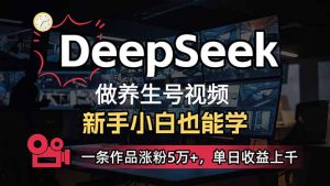 小白用DeepSeek做养生号，一条作品涨粉5万+，单日收益上千-俗人圈网创