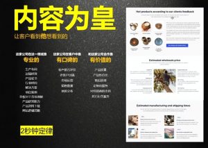 刘老师·外贸询盘增长秘籍从0到1的实战指南-俗人圈网创