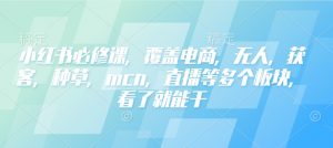 小红书必修课,覆盖电商,无人,获客,种草,mcn,直播等多个板块,看了就能干-俗人圈网创