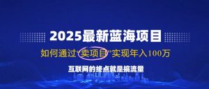 2025最新蓝海项目，零门槛轻松复制，月入10万+，新手也能操作！-俗人圈网创
