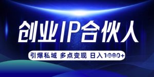 云帆·创业ip合伙人打造3.0,从0到1教你做网创,实现月入过W-俗人圈网创